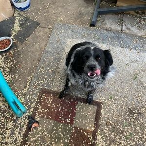 Meet your Posher, Jared